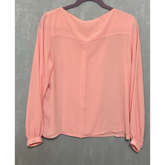 Chanteuse Woman’s Pink Long Sleeve Button Front Pleated Blouse Sz Med Semi Shear - Picture 2 of 9